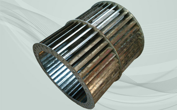 پروانه رادیال فوروارد